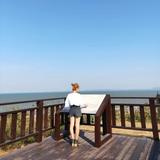 由 a09261912346373 (刊登 ID 1381236513，圖片 1) 提交，位於 的 (類別：)，說明：。