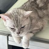 （分類：）位於 。 由 cccccckkkkkk 提交（商品編號 1369342065，圖片 1）。簡介： 。