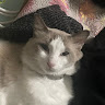 (Category: ) located in . Submitted by jojodiamond.emma (Listing ID 1457462360, Image 1). Description: .