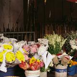 (Kategori: ) berada di . Dikirim oleh bloom.msya (ID iklan 1379119154, Gambar 1). Deskripsi: .