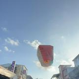 由 su.susan (刊登 ID 1385792369，圖片 1) 提交，位於 的 (類別：)，說明：。