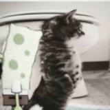(Category: ) located in . Submitted by noorbuler (Listing ID 1378816569, Image 1). Description: .