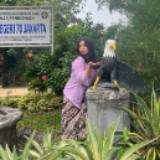 (Kategori: ) berada di . Dikirim oleh jamu_doaibukh (ID iklan 1378450663, Gambar 1). Deskripsi: .