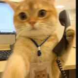 (Kategori: ) berada di . Dikirim oleh kesempatan.ke.2 (ID iklan 1383679278, Gambar 1). Deskripsi: .