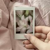 (Kategori: ) berada di . Dikirim oleh petalsinmay (ID iklan 1375924458, Gambar 1). Deskripsi: .