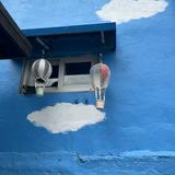 (Category: ) located in . Submitted by su27645 (Listing ID 1379116263, Image 1). Description: .