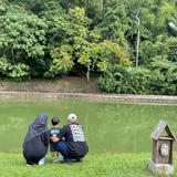 (Category: ) located in . Submitted by athirahmohdsabri (Listing ID 1385420901, Image 1). Description: .