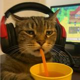 (Category: ) located in . Submitted by flamingo.pink (Listing ID 1316920799, Image 1). Description: .