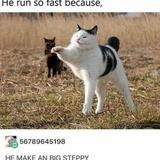 (Category: ) located in . Submitted by ketchupcheese (Listing ID 1377874290, Image 1). Description: .