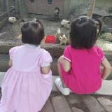 (Kategori: ) berada di . Dikirim oleh babyisabel83556 (ID iklan 1367716755, Gambar 1). Deskripsi: .