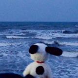 (Category: ) located in . Submitted by ssupsnoopy (Listing ID 1375702390, Image 1). Description: .