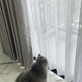 (Kategori: ) berada di . Dikirim oleh thriftznn (ID iklan 1378224013, Gambar 1). Deskripsi: .