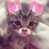 (Category: ) located in . Submitted by zoey818 (Listing ID 1375726716, Image 1). Description: .