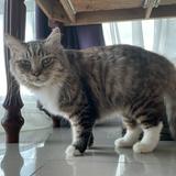 (Category: ) located in . Submitted by goshh (Listing ID 1386323376, Image 1). Description: .