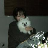 (Category: ) located in . Submitted by kkuromei (Listing ID 1384959077, Image 1). Description: .