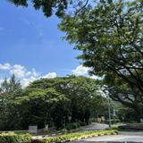 (Category: ) located in . Submitted by trungta (Listing ID 1376268282, Image 1). Description: .