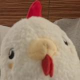 (Category: ) located in . Submitted by valleyast (Listing ID 1384317848, Image 1). Description: .