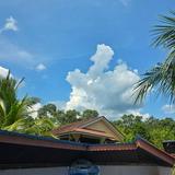 (Category: ) located in . Submitted by yatieboo (Listing ID 1376200352, Image 1). Description: .