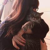 (Category: ) located in . Submitted by littledailyjoys (Listing ID 1294668219, Image 1). Description: .