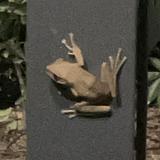 （分類：）位於 。 由 b47h_ 提交（商品編號 1383343998，圖片 1）。簡介： 。