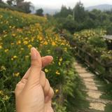 (Kategori: ) berada di . Dikirim oleh bongkaranbarangku (ID iklan 1370237854, Gambar 1). Deskripsi: .