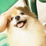 由 jingjingjingjing1031 (刊登 ID 1322161921，圖片 1) 提交，位於 的 (類別：)，說明：。