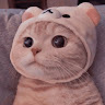 由 nbskcj (刊登 ID 1376504949，圖片 1) 提交，位於 的 (類別：)，說明：。