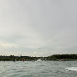 (Category: ) located in . Submitted by xjjjjj (Listing ID 1380077762, Image 1). Description: .