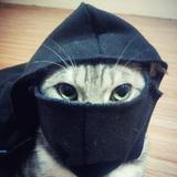 (Category: ) located in . Submitted by alifmuh (Listing ID 1385568592, Image 1). Description: .