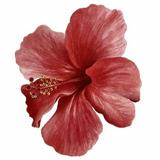 (Kategori: ) berada di . Dikirim oleh carameloved__ (ID iklan 1377118621, Gambar 1). Deskripsi: .
