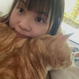 （分類：）位於 。 由 christychristy0223 提交（商品編號 1376924892，圖片 1）。簡介： 。
