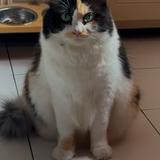 (Kategori: ) berada di . Dikirim oleh taaaa22 (ID iklan 1351819412, Gambar 1). Deskripsi: .