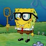 (Category: ) located in . Submitted by spongebob39 (Listing ID 1379117888, Image 1). Description: .