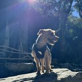 由 hi.is_2hand (刊登 ID 1379475447，圖片 1) 提交，位於 的 (類別：)，說明：。
