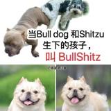 （分類：）位於 。 由 jayz_luxexchange 提交（商品編號 1376439166，圖片 1）。簡介： 。