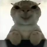 （分類：）位於 。 由 legitseller. 提交（商品編號 1385060265，圖片 1）。簡介： 。