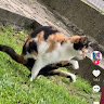 (Category: ) located in . Submitted by hayatekri (Listing ID 1467766332, Image 1). Description: .