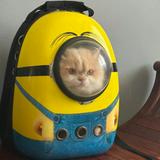 (Category: ) located in . Submitted by tiktoksteals (Listing ID 1377186457, Image 1). Description: .