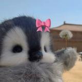 頭像