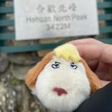 由 jenna_lovetoys (刊登 ID 1377161562，圖片 1) 提交，位於 的 (類別：)，說明：。