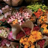 (Kategori: ) berada di . Dikirim oleh prelovedmaupindahan (ID iklan 1377622184, Gambar 1). Deskripsi: .