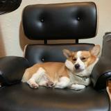 (Category: ) located in . Submitted by g0dfather (Listing ID 1380310344, Image 1). Description: .