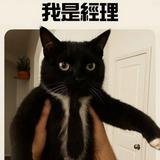 由 hoo_zzz (刊登 ID 1384979296，圖片 1) 提交，位於 的 (類別：)，說明：。
