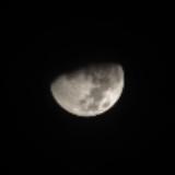 (Category: ) located in . Submitted by nmz912 (Listing ID 1376929054, Image 1). Description: .