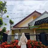 (Kategori: ) berada di . Dikirim oleh cipawwwww14 (ID iklan 1377431359, Gambar 1). Deskripsi: .