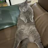 (Category: ) located in . Submitted by doink_1 (Listing ID 1381601131, Image 1). Description: .