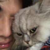 (Kategori: ) berada di . Dikirim oleh millowmochi (ID iklan 1381718837, Gambar 1). Deskripsi: .