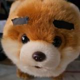 （分類：）位於 。 由 m.k.k_anishop 提交（商品編號 1292606425，圖片 1）。簡介： 。