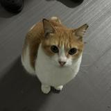(Category: ) located in . Submitted by nst00 (Listing ID 1377409434, Image 1). Description: .