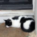 (Category: ) located in . Submitted by wynseyy (Listing ID 1377466235, Image 1). Description: .
